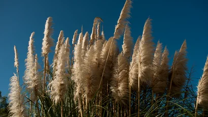 Luna Minoica: suite e appartamenti in Sicilia